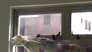 عاطفي مقاطع سكس كلاب مع حريم يمارس الجنس مع الثدي تسليم رجل عاطفي النشوة