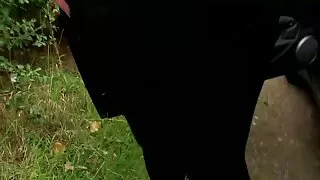 الدهون الديك في كس سكسي كلاب معه بنات ضيق يحاول تحميل