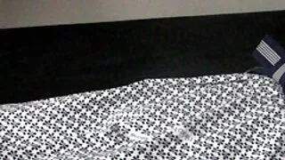رائعة مثلي الجنس الاصطياد سكسي حيوانات و بنات مهبله مع لعبة