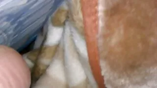 تتركز سكين سكسي حيوان مع بنات راجازا
