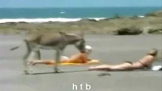 فتاة أعطى كس لعق ثم حاول على مقاطع سكسي بنات فقط الديك الأسود