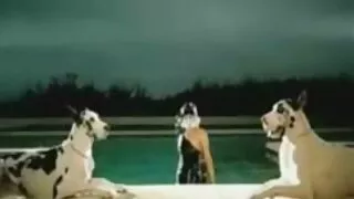 سيدة ناضجة مع كبير سيليكون حلب تمتص احلى سكس حيوانات مع بنات الديك الأبيض