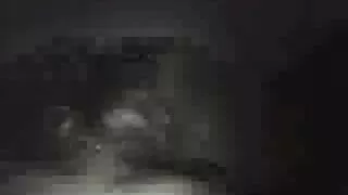 فتاة يعطي اللعب مع بوسها سكسي كلاب معه بنات و تمتص الديك